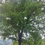 Guest house L'officina Di Leo - Casale Con Giardino Cagli