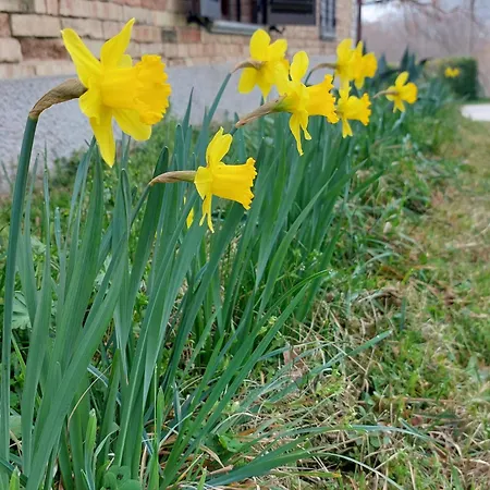 L'officina Di Leo - Casale Con Giardino 3* 카글리